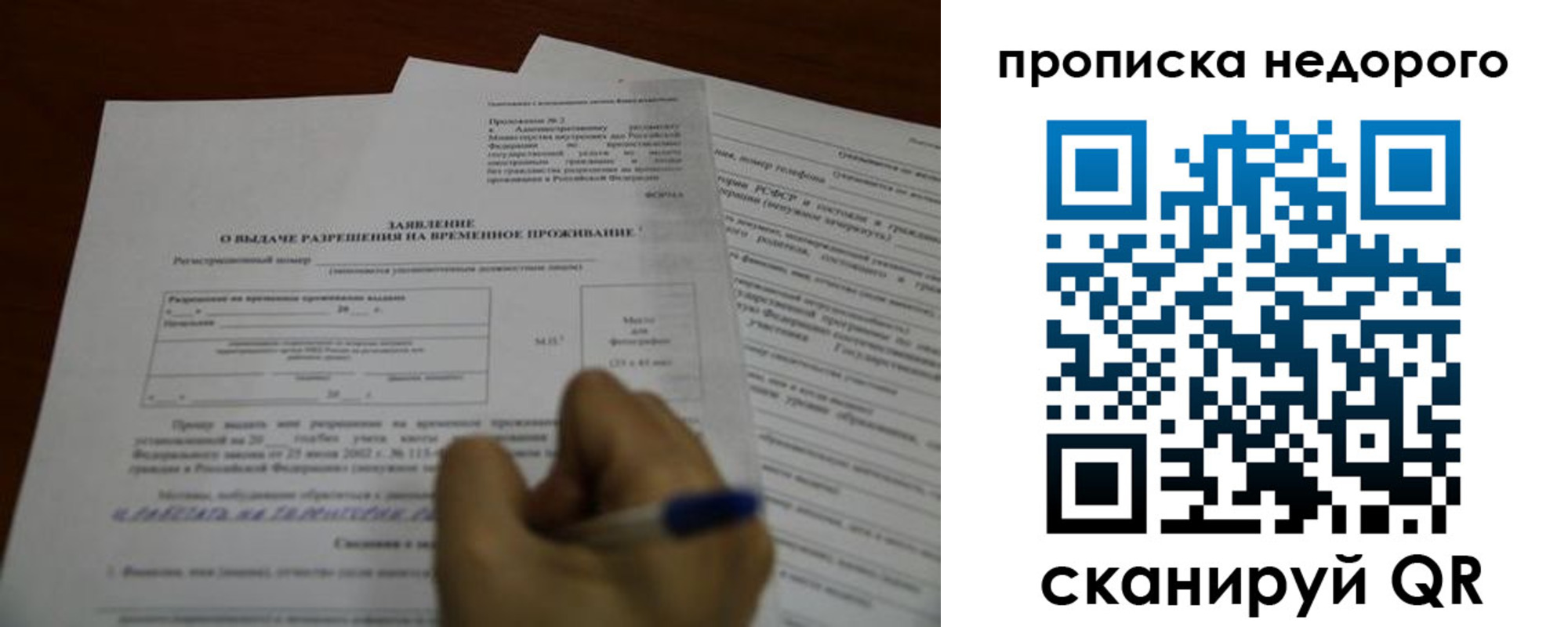 прописка в Вольске